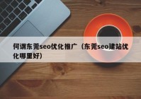 何谓东莞seo优化推广（东莞seo建站优化哪里好）
