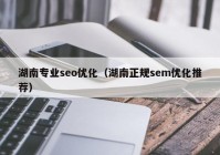 湖南专业seo优化（湖南正规sem优化推荐）