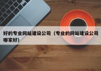 好的专业网站建设公司（专业的网站建设公司哪家好）