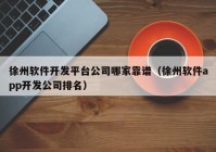 徐州软件开发平台公司哪家靠谱（徐州软件app开发公司排名）