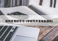 软件开发好学习（学软件开发有前途吗）