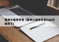 泰州小程序开发（泰州小程序开发haje华网天下）