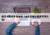 临沂小程序开发电话（山东正规小程序开发公司）