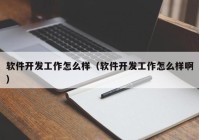 软件开发工作怎么样（软件开发工作怎么样啊）