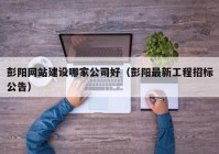 彭阳网站建设哪家公司好（彭阳最新工程招标公告）