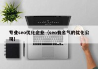 专业seo优化企业（seo有名气的优化公司）