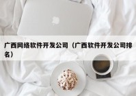 广西网络软件开发公司（广西软件开发公司排名）