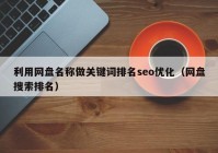 利用网盘名称做关键词排名seo优化（网盘搜索排名）